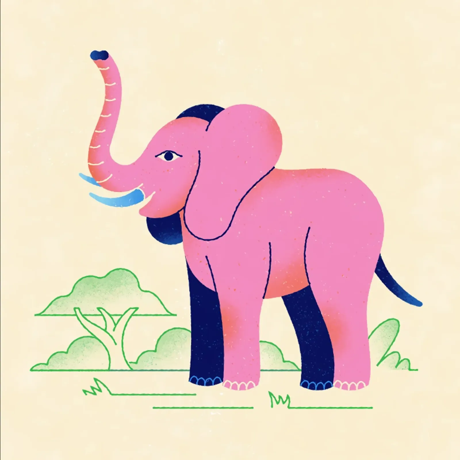 Elefante carta hahnemühle da callum shop