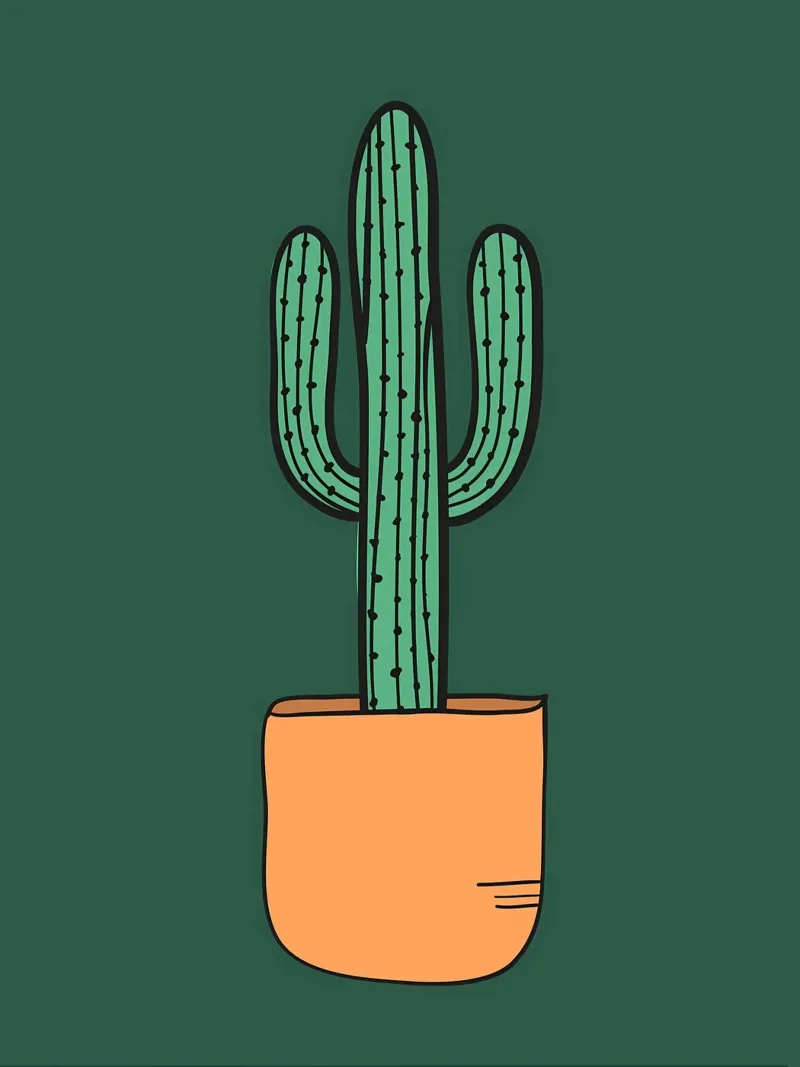 Cactus verde carta hahnemühle da Jose
