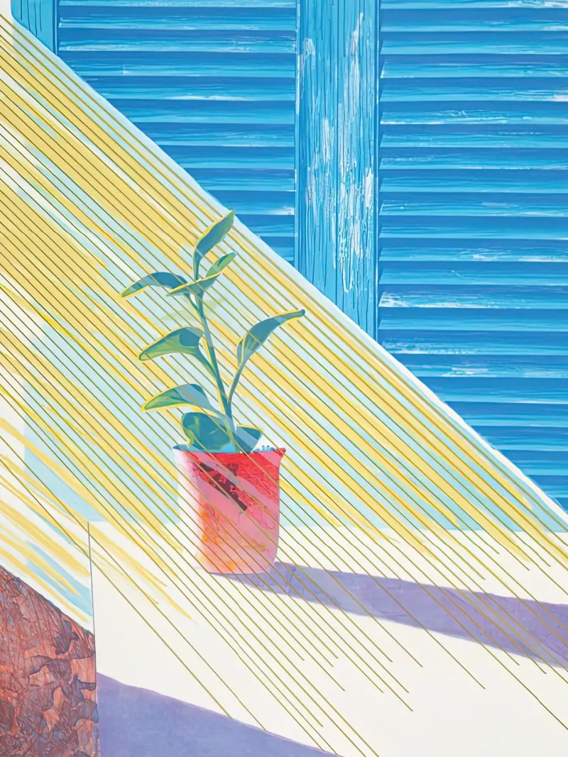 david hockney 56 plexiglass da LuppiLappi