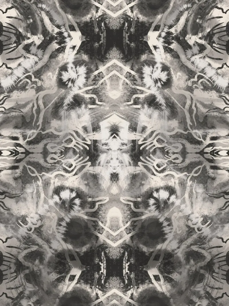 Rorschach 09 in bianco e nero carta hahnemühle da Little Dean