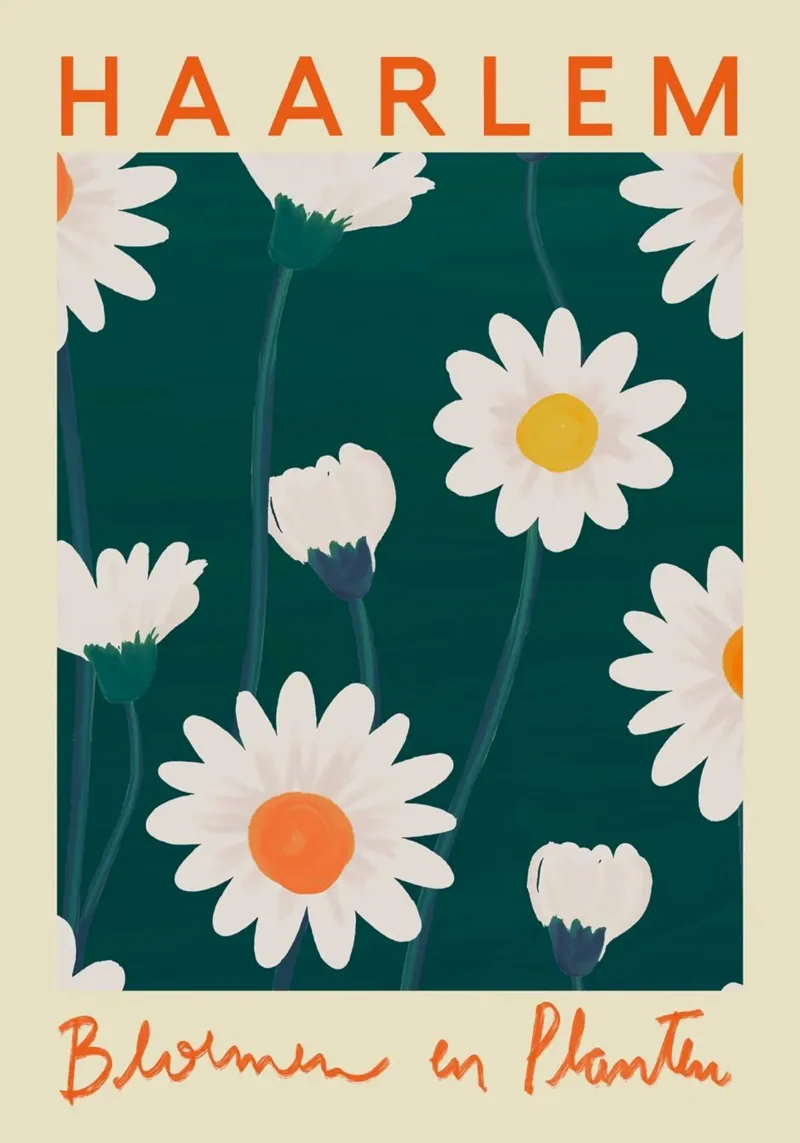 Fiori e piante di Haarlem - Stampa su campo di margherite olandesi poster con telaio in alluminio da homdeco