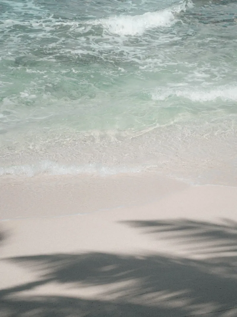 Minimal shadow of palm leaves on a beach hahnemühle by Kimberley Jekel Photography