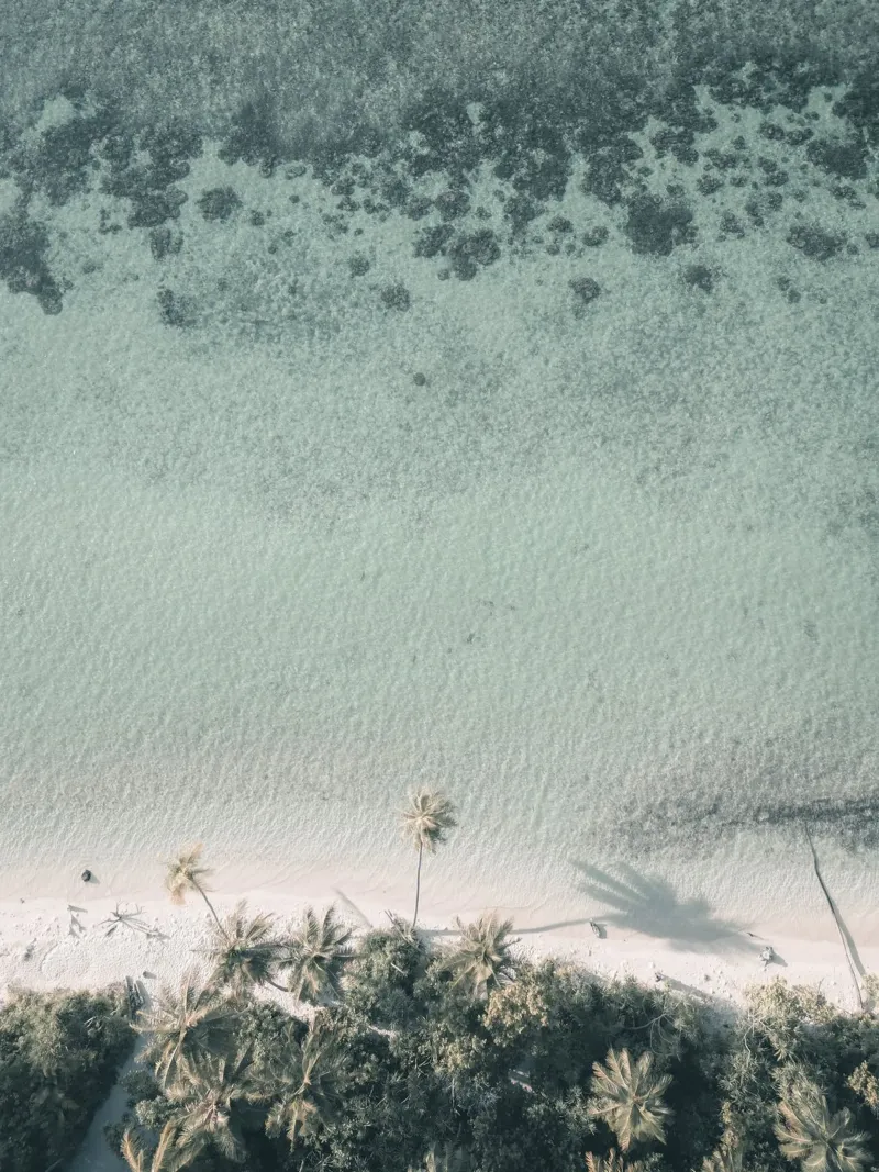 Vista aerea di una spiaggia tropicale con palme - Maldive poster da Kimberley Jekel Photography