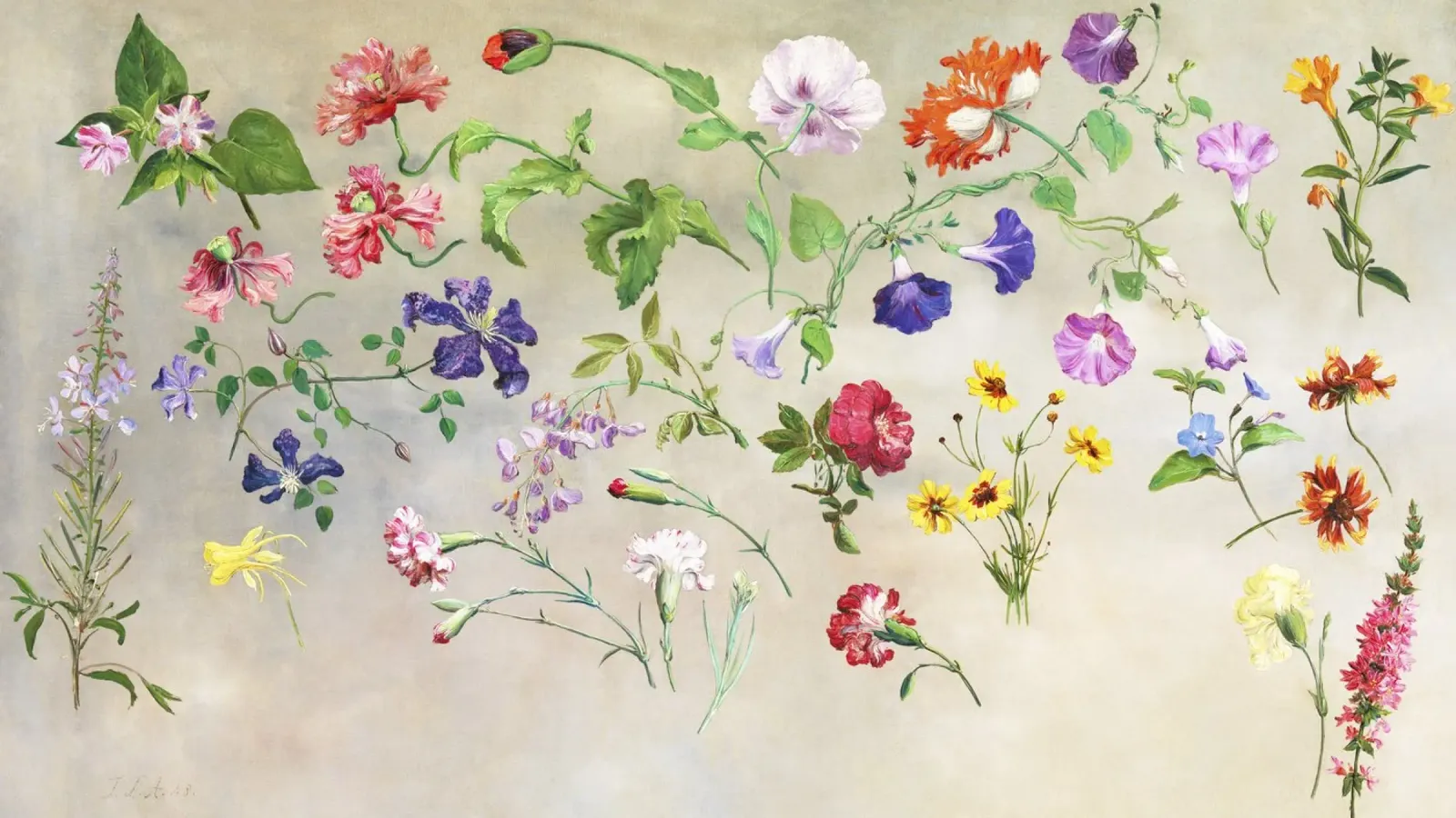 "Studies of Flowers (1848)" by Swiss painter Jacques-Laurent poster by Classic Art Prints