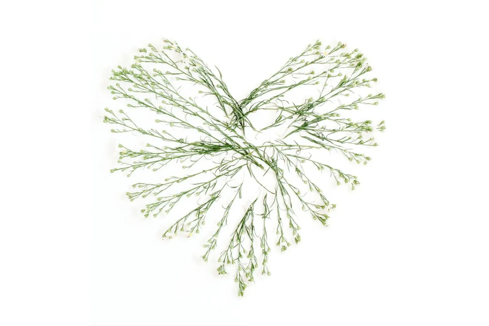 Note floreali d'amore poster con telaio in alluminio da StillVibe Home