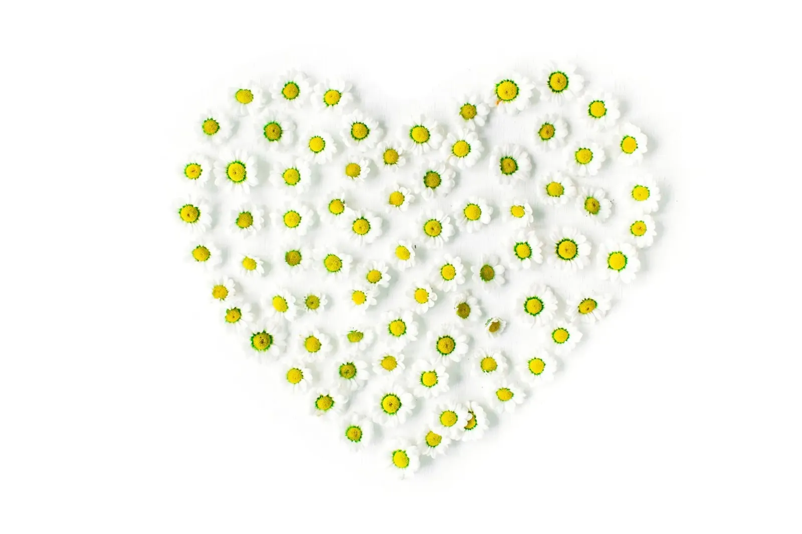 Note floreali d'amore poster con telaio in alluminio da StillVibe Home