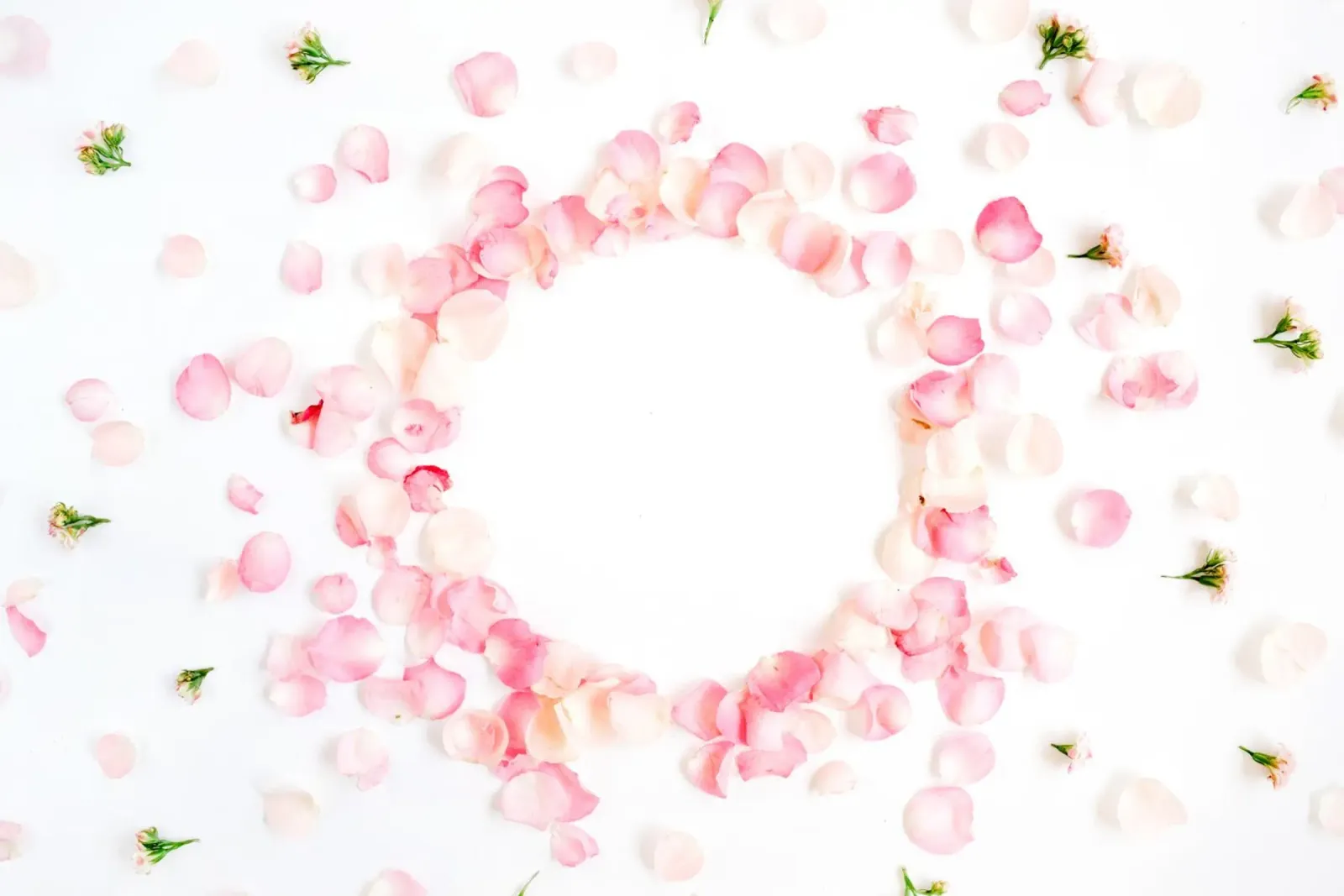 Blumige Noten der Liebe Hahnemühle von StillVibe Home