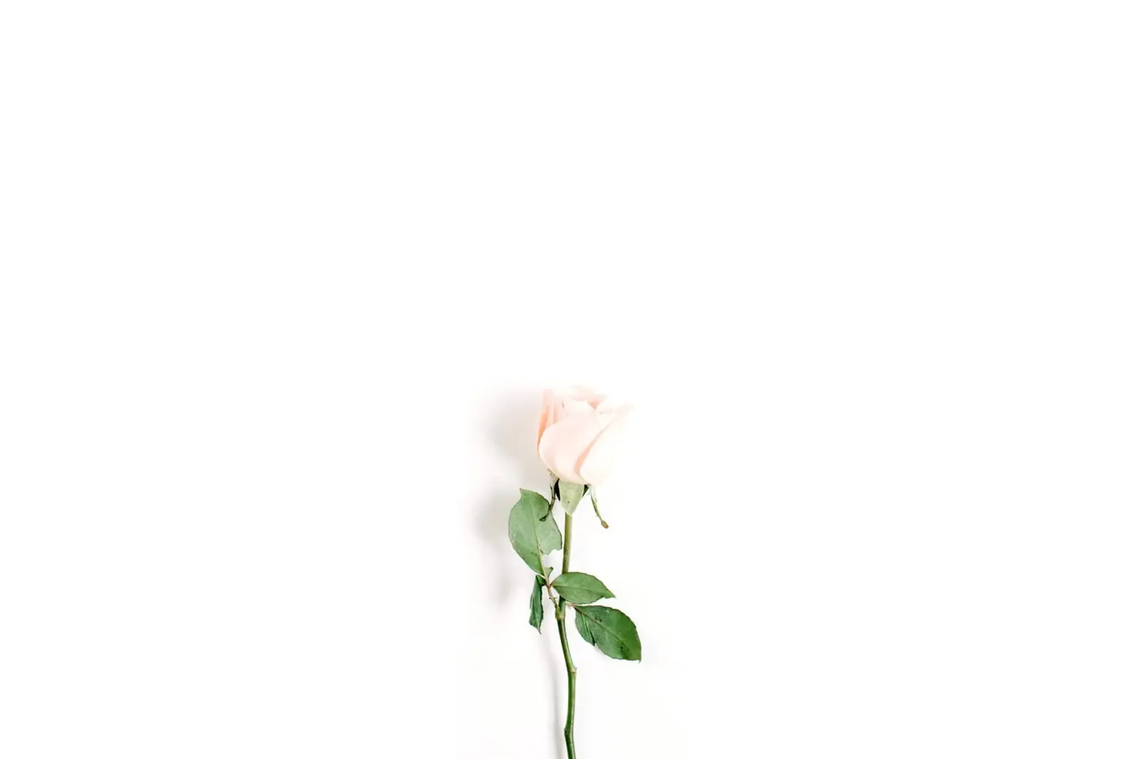 Note floreali d'amore poster con telaio in alluminio da StillVibe Home