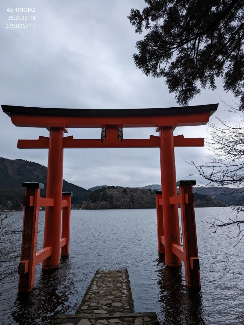 Torii At The Lake poster da Studio Wanderlust