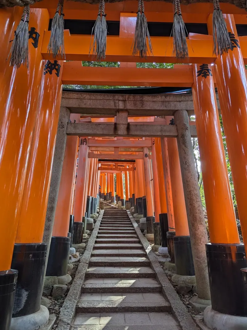 Vermilion Arches - Fushimi Inari Shrine poster van Studio Wanderlust