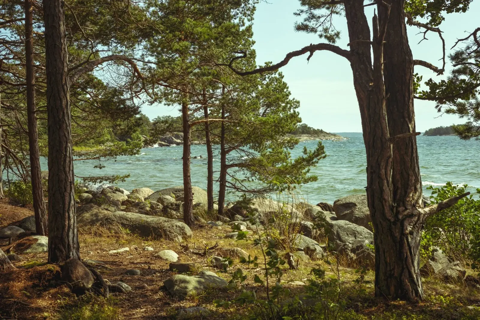 Björnö carta hahnemühle da thetraveller