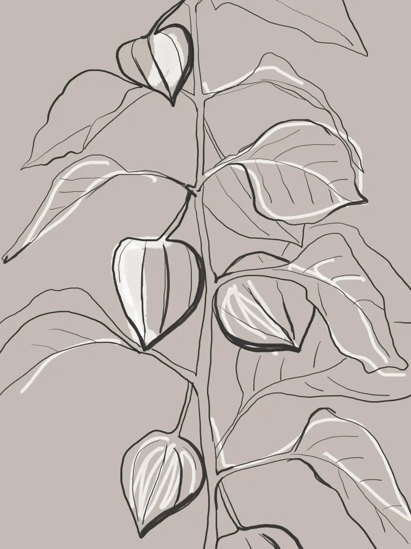 Calma botanica poster con telaio in legno da LeaDArt
