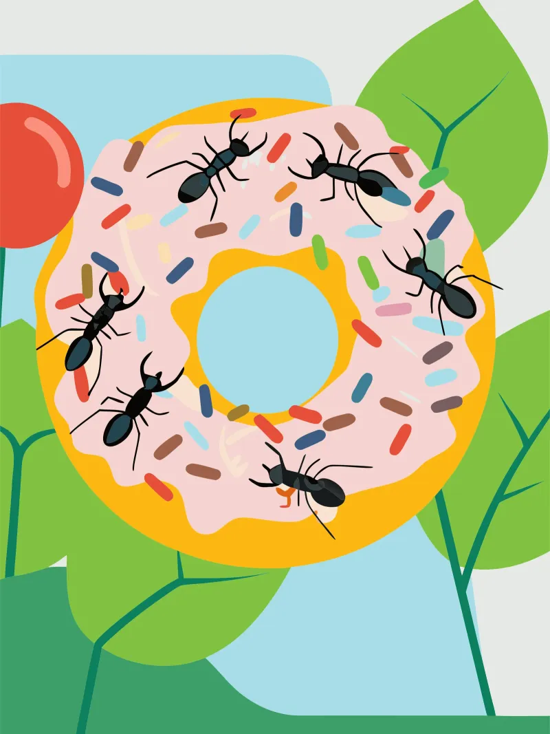 Mier op de donut poster van CUTE ANIMALS