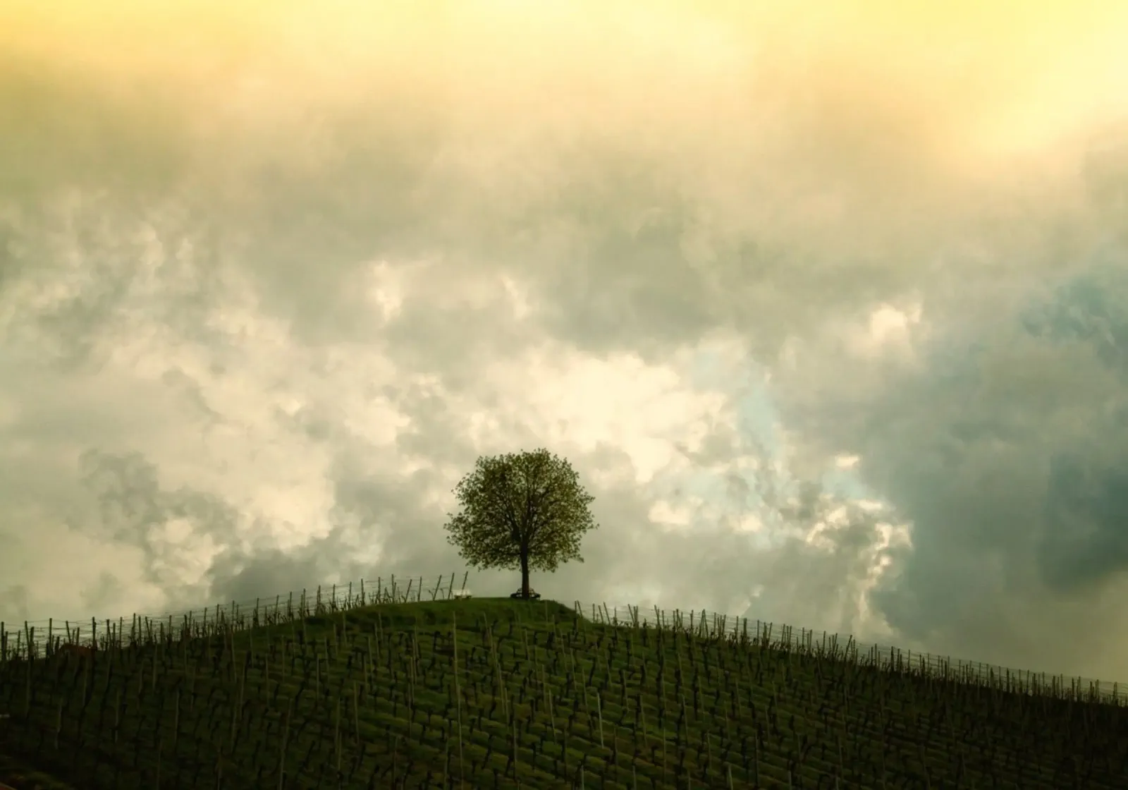 solitude rural agriculture pellicola backlit da Histrol