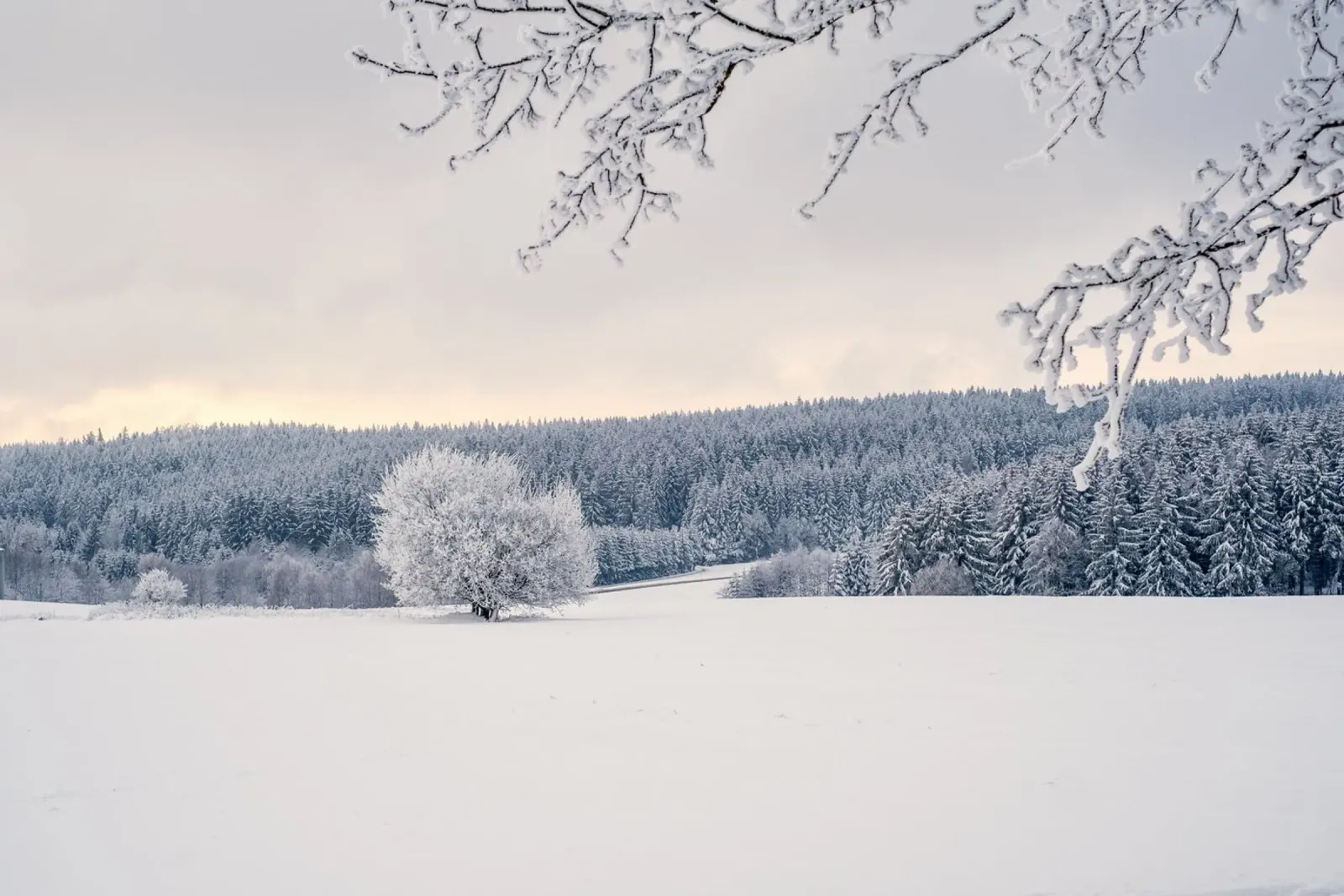 cold nature canvas by Histrol