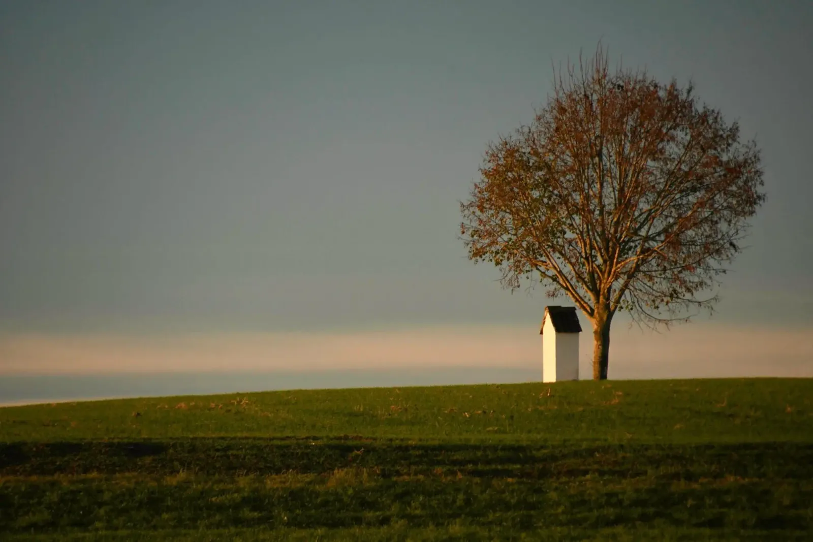 minimalist scene open space canvas by Histrol