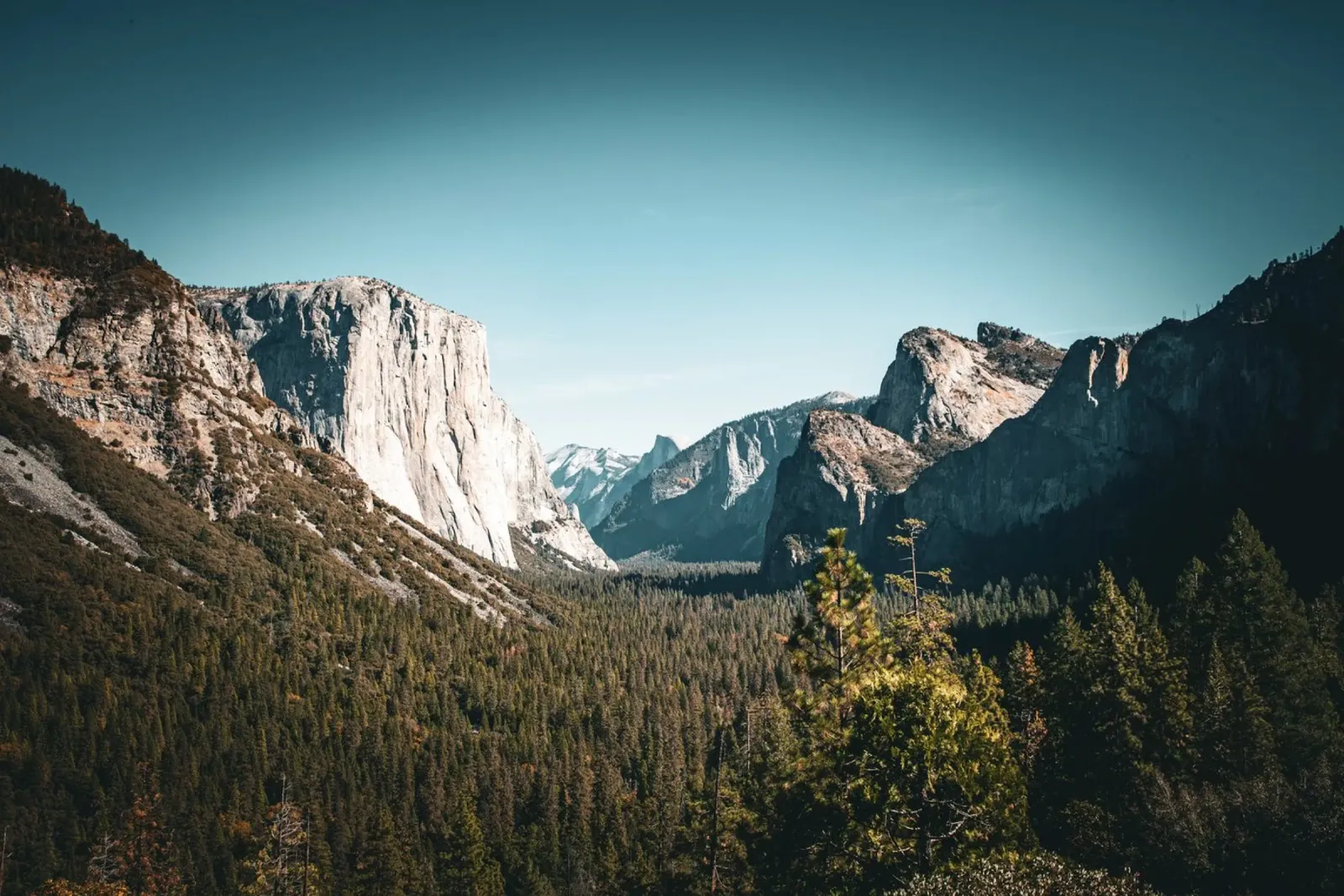 Yosemite pellicola backlit da Flo Klein