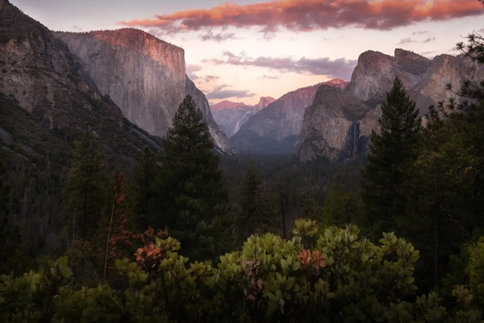Yosemite National Park, USA poster by Wanderlust Vibes