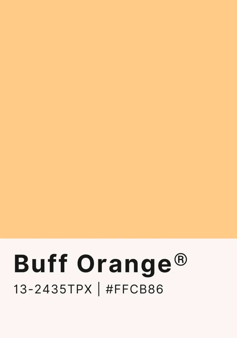 Buff Orange Pantone Color Code Minimalist Print hahnemühle by homdeco