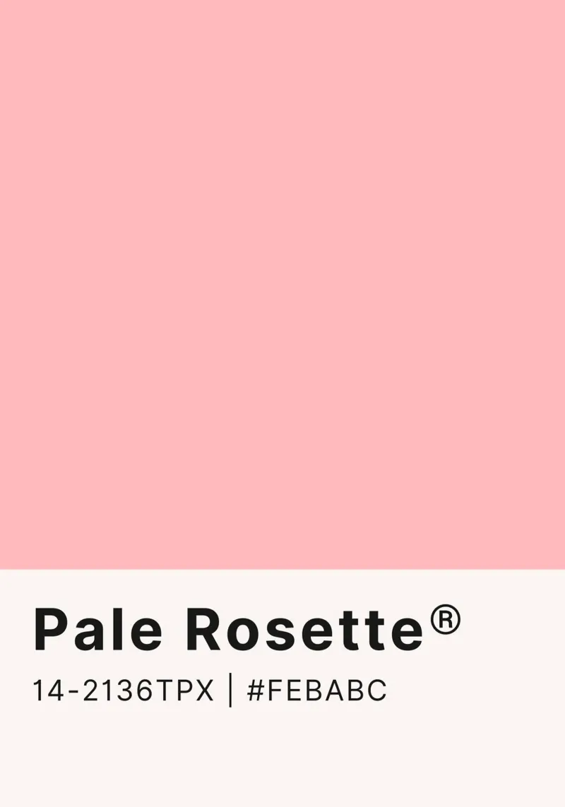 Pale Rosette Pantone Color Code Minimalist Print canvas by homdeco