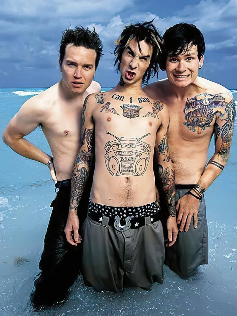 Blink 182 poster con telaio in alluminio da Musadad Shop