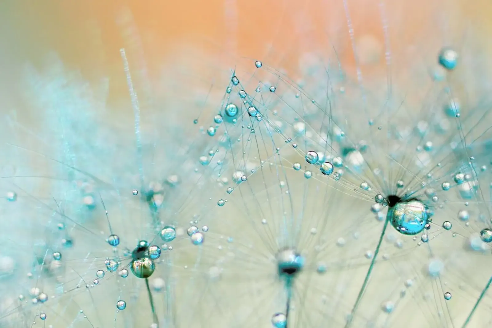 droplets of aqua canvas by Ingrid Beddoes