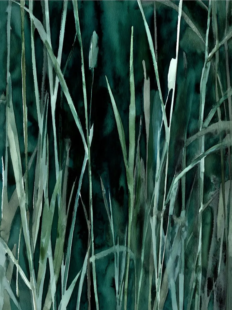 Canna del crepuscolo poster con telaio in plastica da Luke Wilder Studio