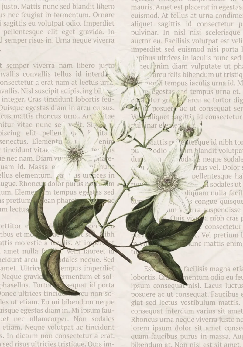Illustrazione botanica d'epoca su pagina di libro Poster poster con telaio in legno da vintagepod