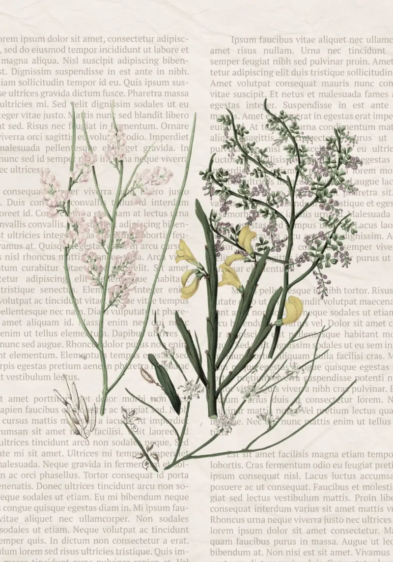 Poster botanico d'epoca su Iris e Baby's Breath poster con telaio in alluminio da vintagepod