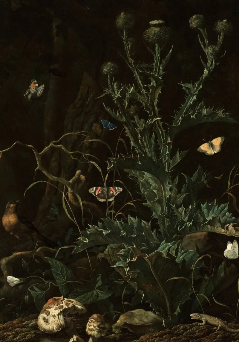 Otto Marseus Stilleven Donkere botanische kunst canvas met Baklijst van vintagepod