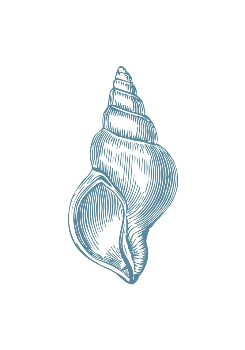 Nautilus Shell Vintage Ocean Line Art Poster poster con telaio in plastica da dawnthesea