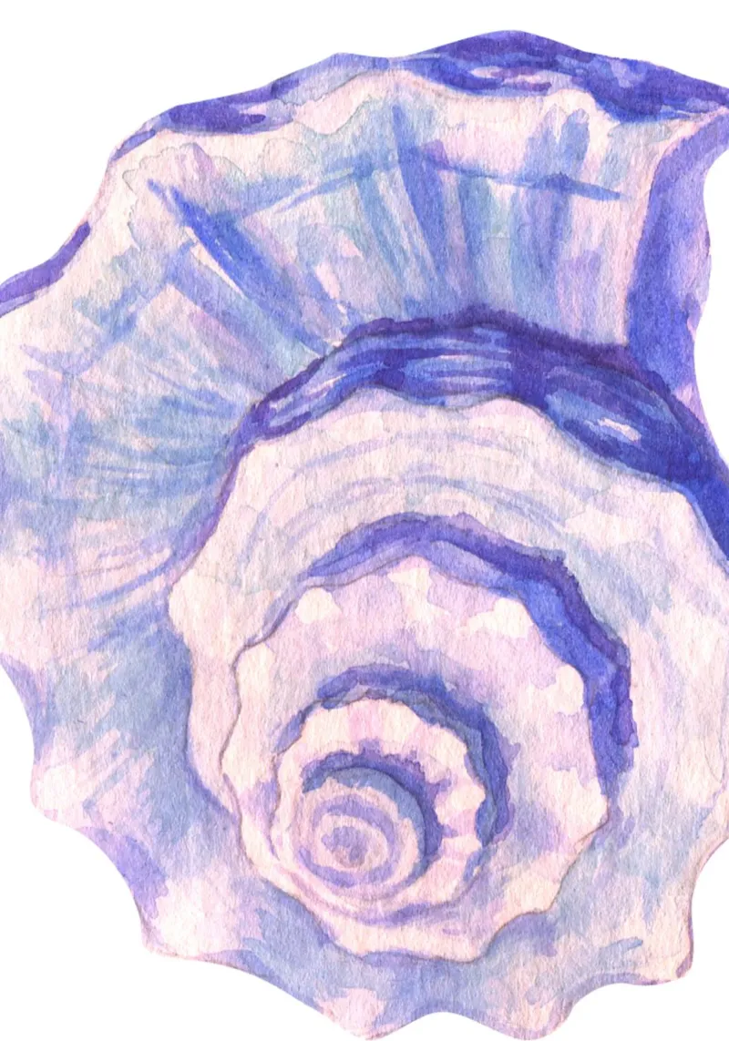Poster Nautilus Shell acquerello blu e viola poster con telaio in alluminio da dawnthesea