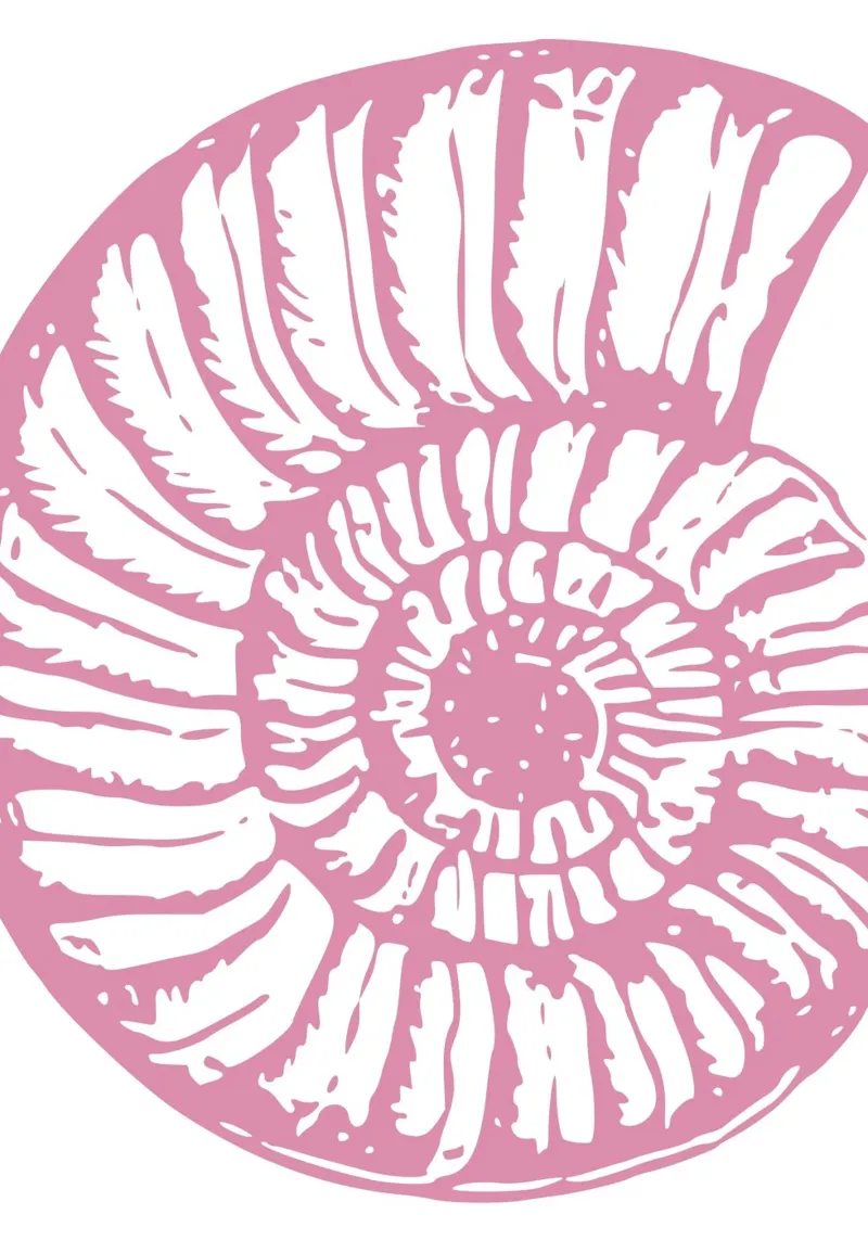 Nautilus Shell Pink Vintage Line Art Poster poster con telaio in alluminio da dawnthesea
