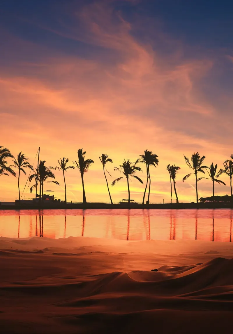 Tramonto tropicale con palme pellicola backlit da Berwies Artwork