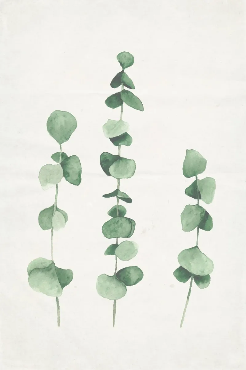 Pflanzen hahnemühle by Mia Nissen