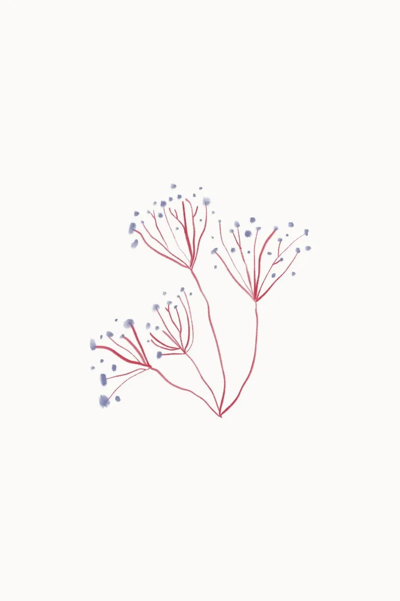 Sea Study No 01 poster con telaio in alluminio da treechild