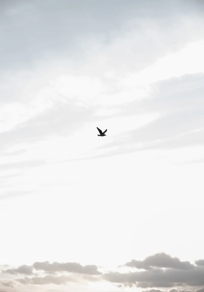 Flying High 1 carta hahnemühle da Mareike Böhmer Photography