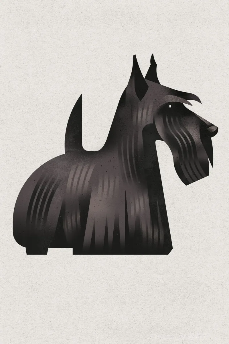Terrier scozzese poster con telaio in plastica da Dieter Braun