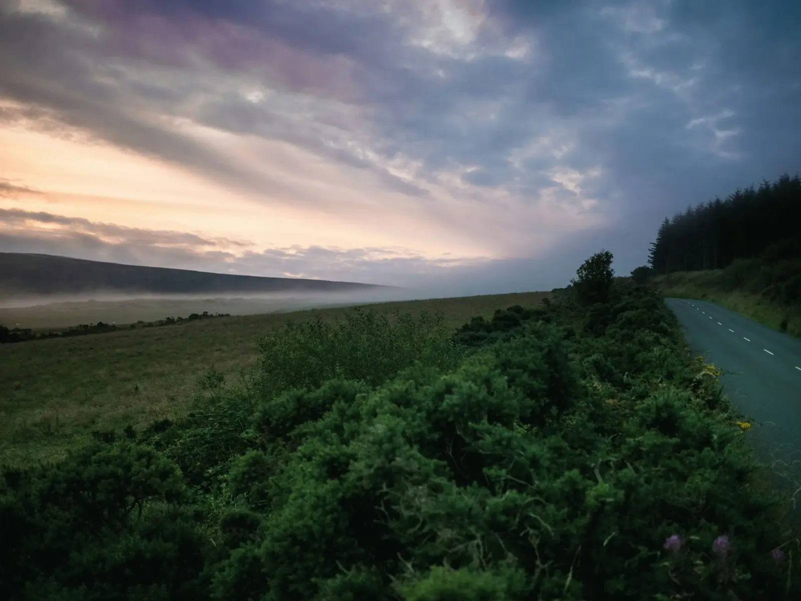 countryside nature dusk backlit film by cofa home