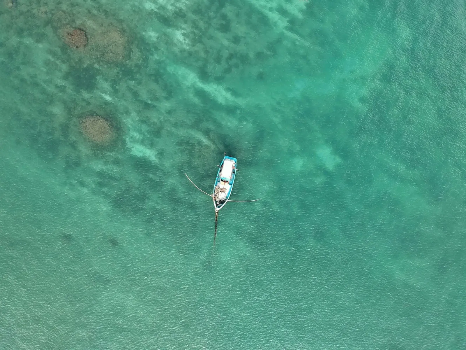 fishing boat marine life hahnemühle by cofa home