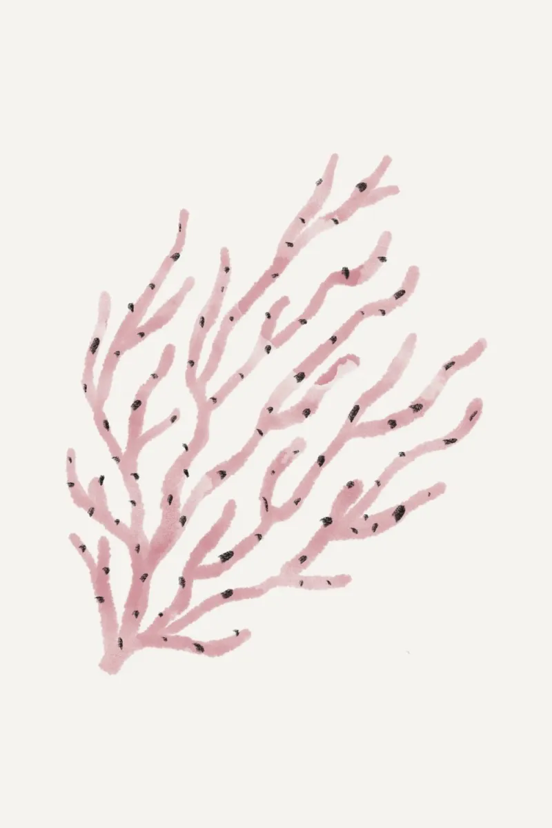 Sea Study No 13 plexiglass da treechild