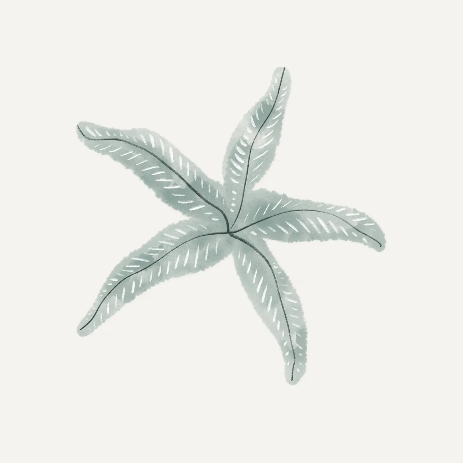 Sea Study No 22 (Square) Leinwand mit Schattenfugenrahmen von treechild