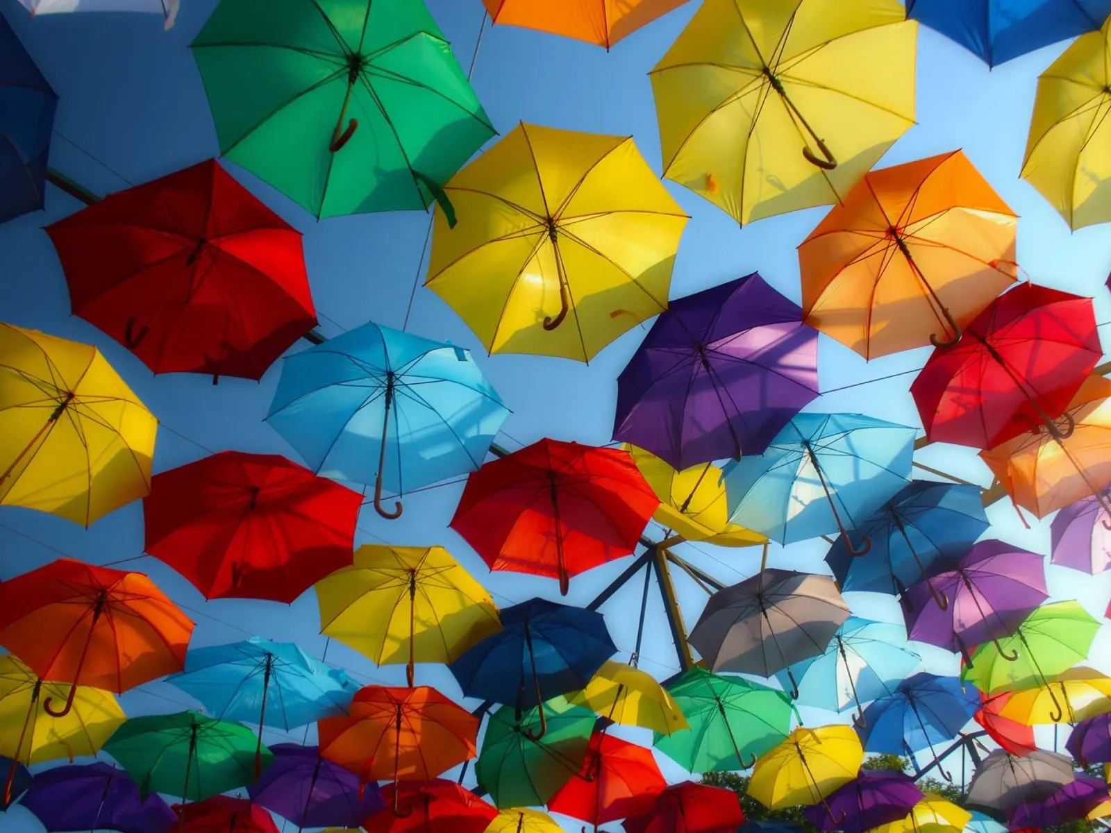colorful umbrella wallpaper poster by Musadad Shop