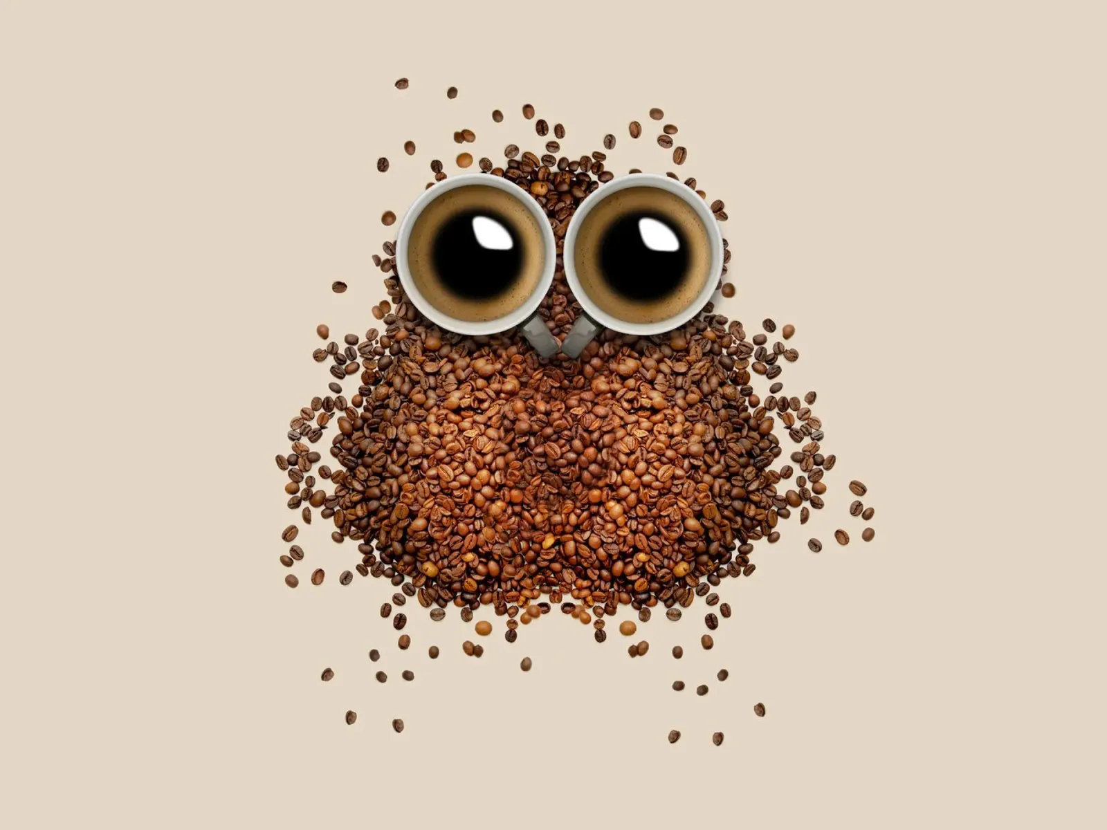 owl coffee acrylic glass by Musadad Shop