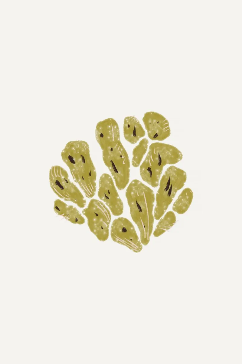 Sea Study No 30 canvas met Baklijst van treechild
