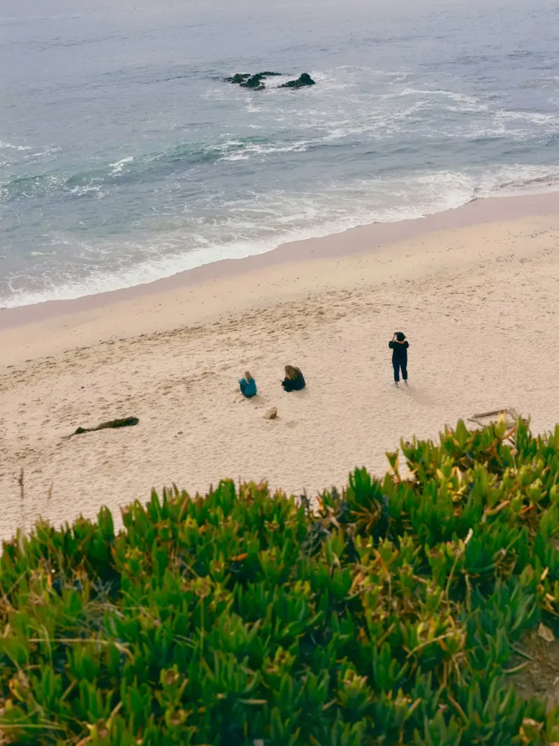 beach ocean canvas by Earthly Visions