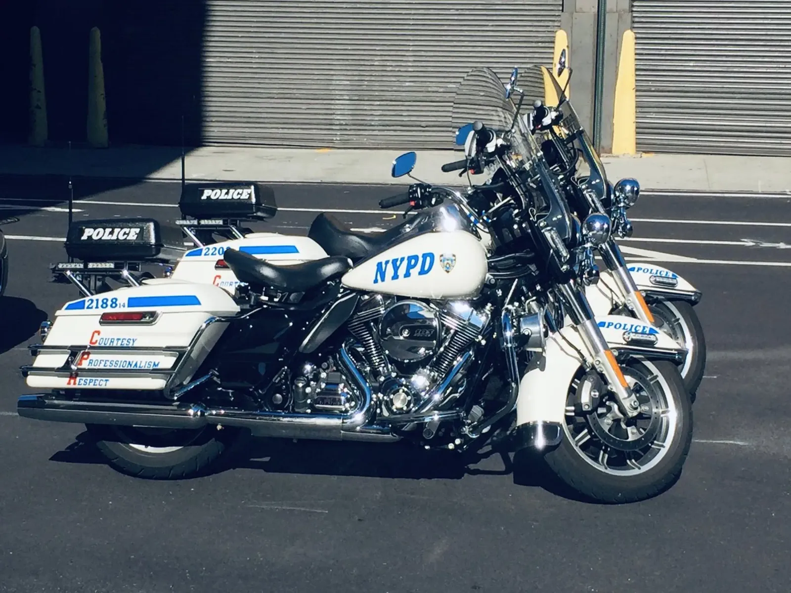 NYPD carta hahnemühle da Löwenzahntiger