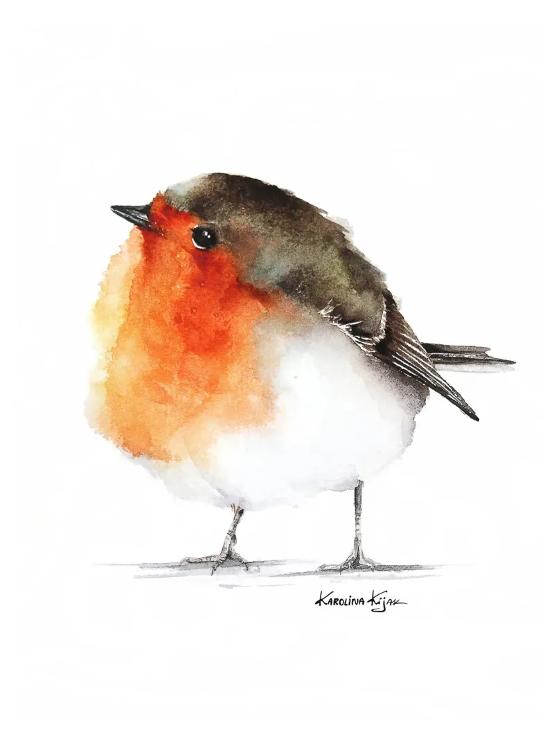 Robin bird plexiglass da Karolina Kijak