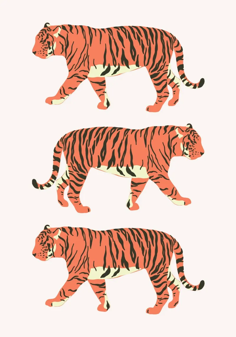 Tiger Trio Walk - Minimalist Wildlife Art Print alu-dibond by homdeco