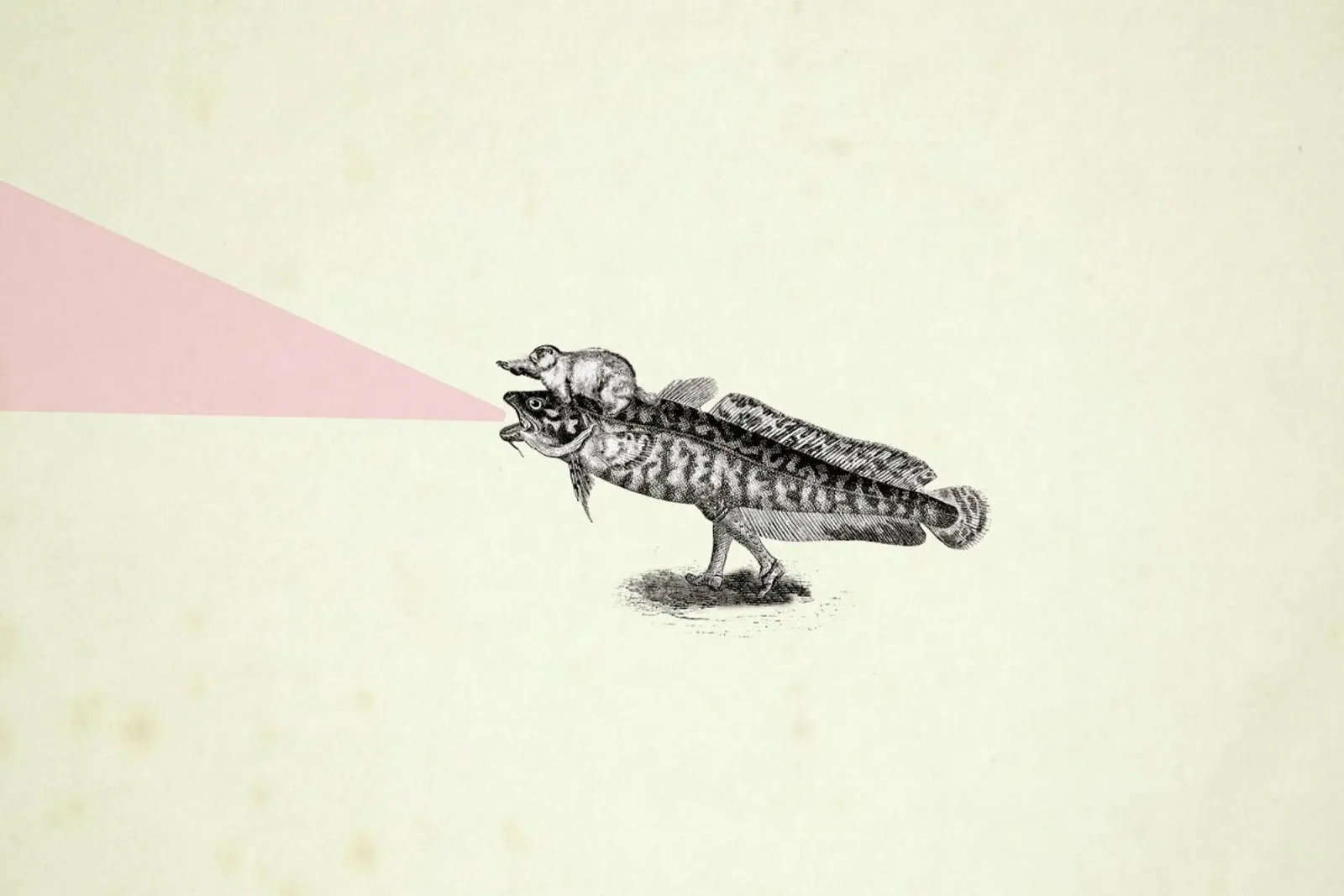 Absolutely random engraved GIF (frame) pellicola backlit da Matteo Morelli